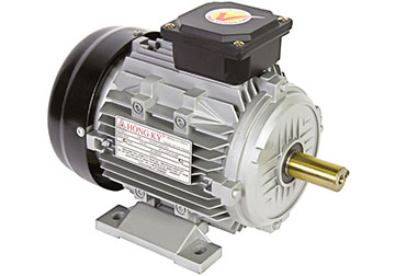 20HP Motor vỏ nhôm chân đế 3 pha Hồng Ký HKM2034VN